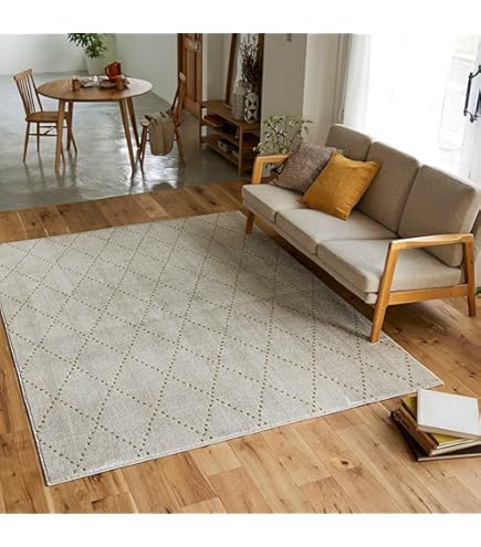 Amazon｜スミノエ(Suminoe) ラグ ライトグレー 140×200cm 防炎 防ダニ